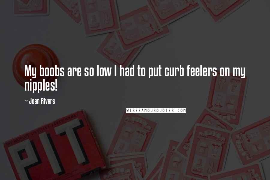 Joan Rivers Quotes: My boobs are so low I had to put curb feelers on my nipples!