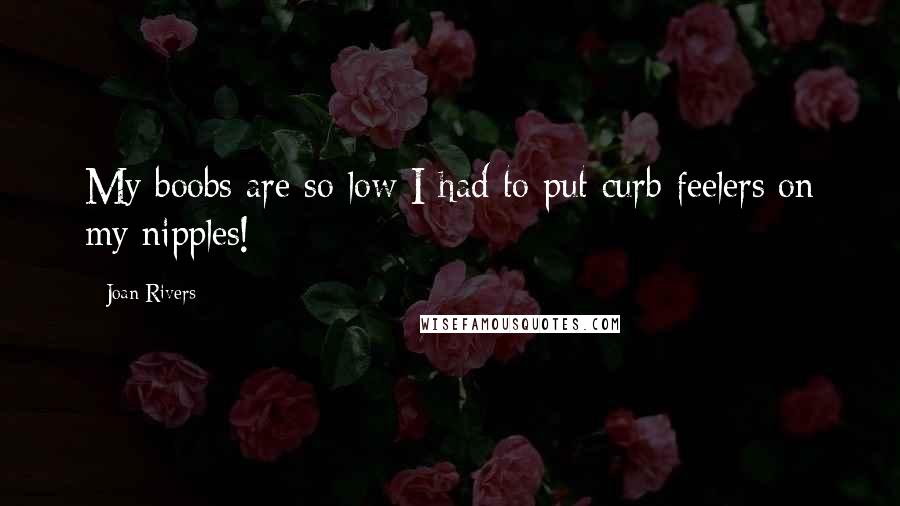 Joan Rivers Quotes: My boobs are so low I had to put curb feelers on my nipples!