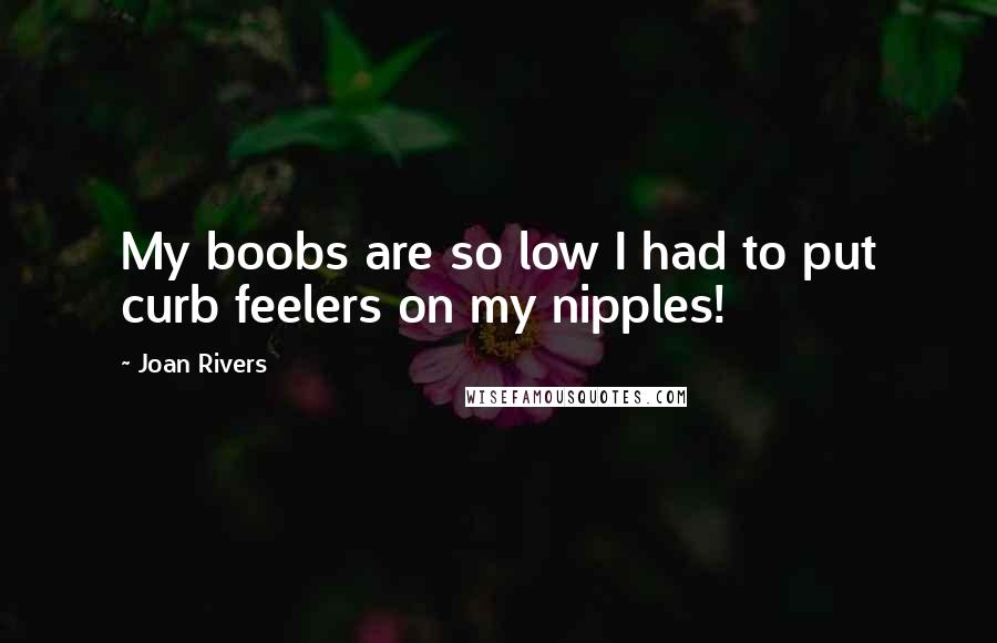 Joan Rivers Quotes: My boobs are so low I had to put curb feelers on my nipples!