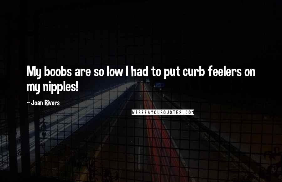 Joan Rivers Quotes: My boobs are so low I had to put curb feelers on my nipples!