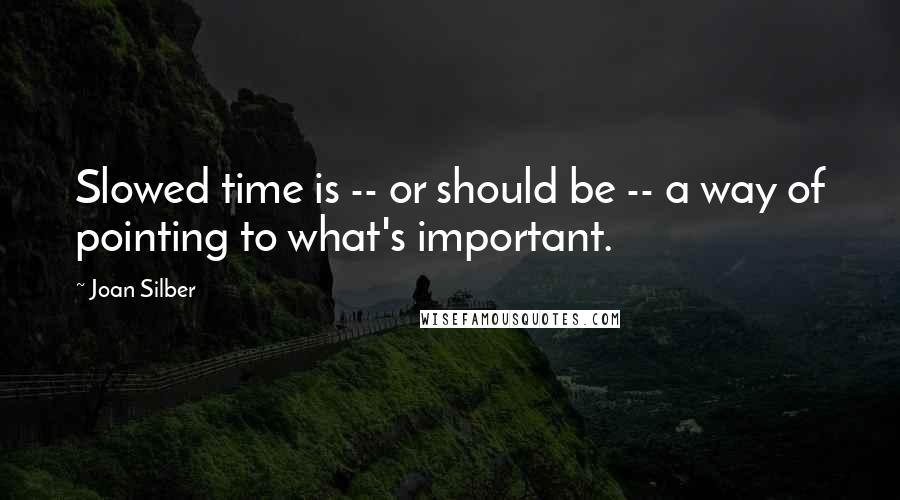 Joan Silber Quotes: Slowed time is -- or should be -- a way of pointing to what's important.