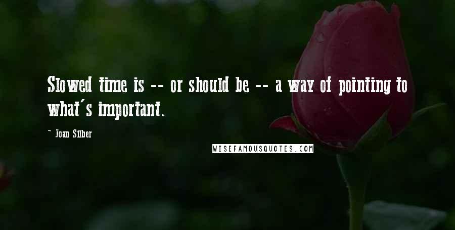 Joan Silber Quotes: Slowed time is -- or should be -- a way of pointing to what's important.