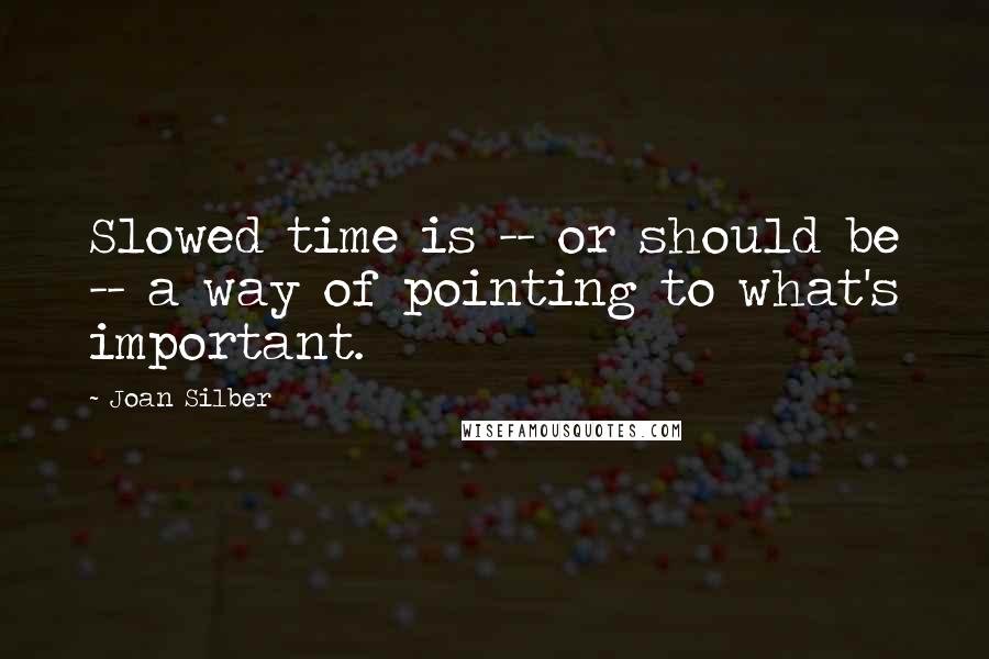 Joan Silber Quotes: Slowed time is -- or should be -- a way of pointing to what's important.