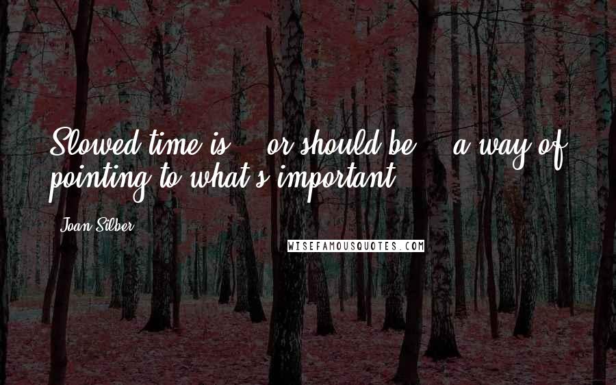 Joan Silber Quotes: Slowed time is -- or should be -- a way of pointing to what's important.