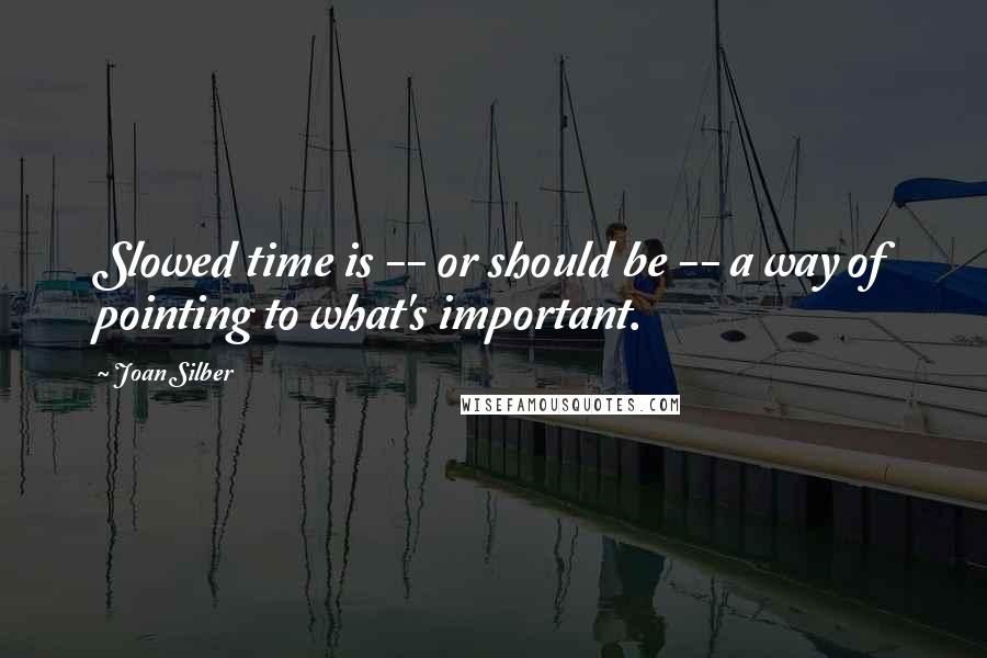 Joan Silber Quotes: Slowed time is -- or should be -- a way of pointing to what's important.
