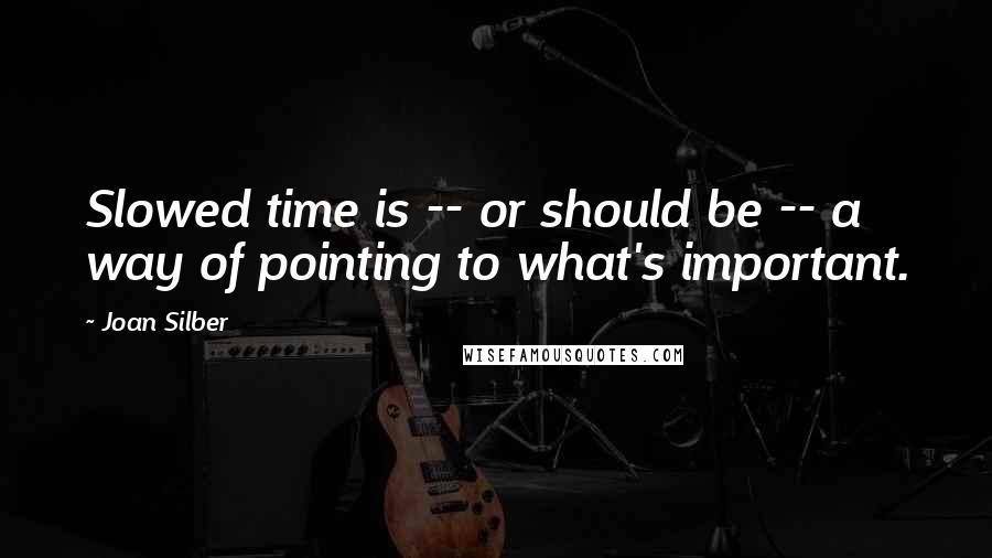 Joan Silber Quotes: Slowed time is -- or should be -- a way of pointing to what's important.