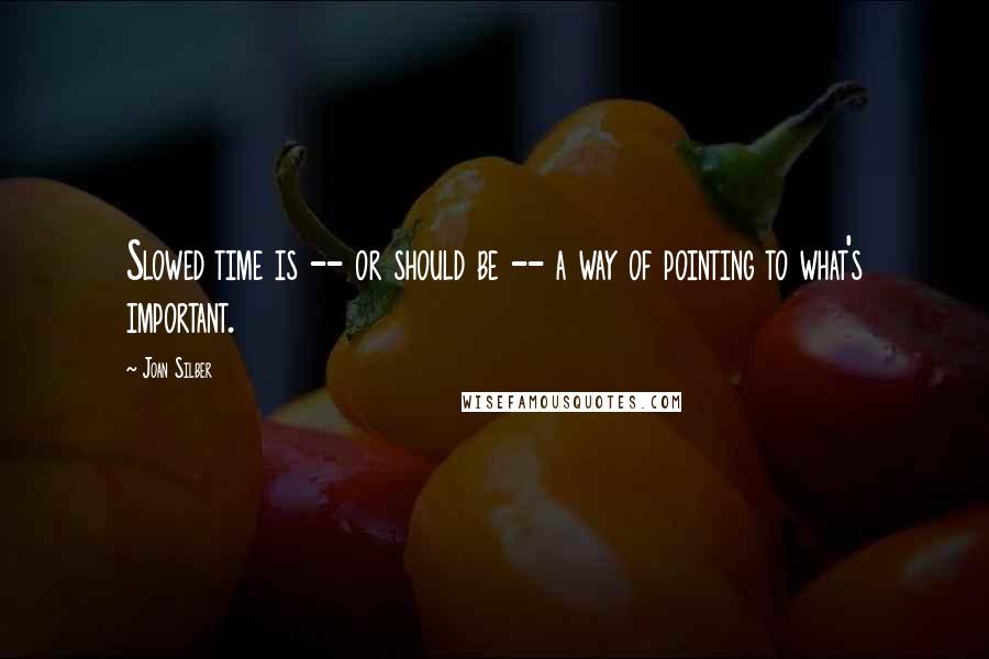 Joan Silber Quotes: Slowed time is -- or should be -- a way of pointing to what's important.