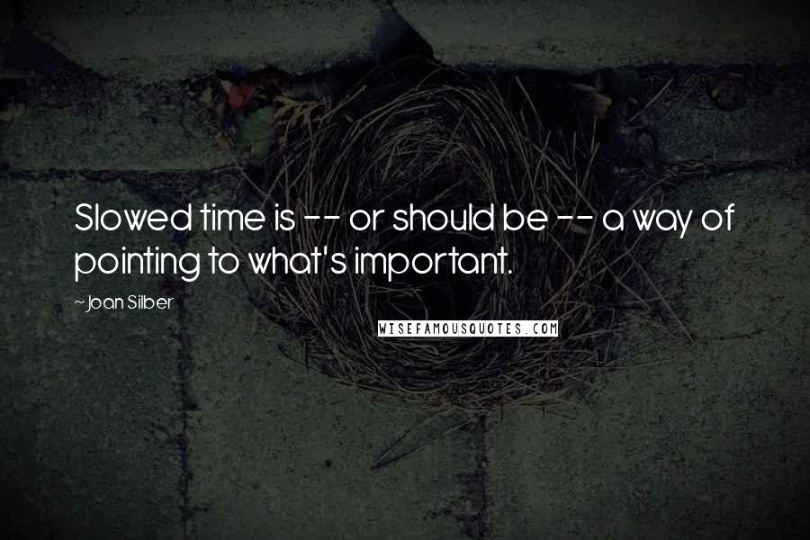 Joan Silber Quotes: Slowed time is -- or should be -- a way of pointing to what's important.