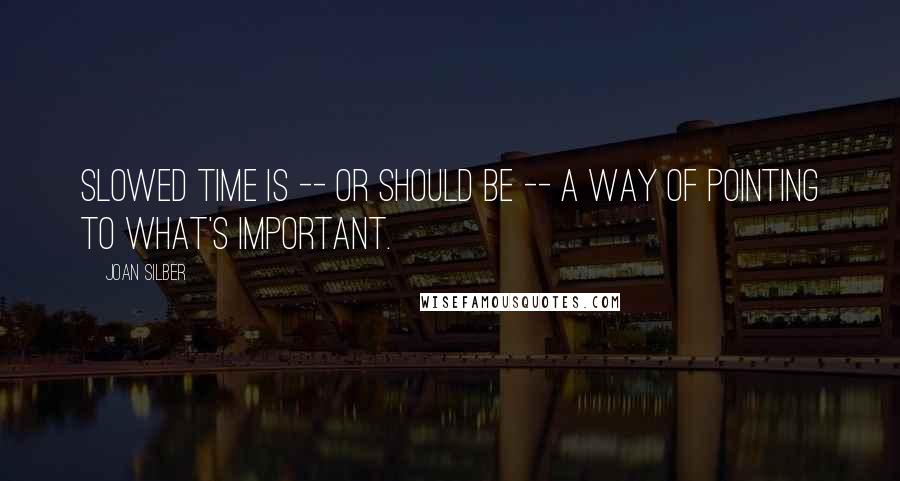 Joan Silber Quotes: Slowed time is -- or should be -- a way of pointing to what's important.