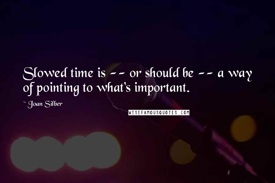 Joan Silber Quotes: Slowed time is -- or should be -- a way of pointing to what's important.