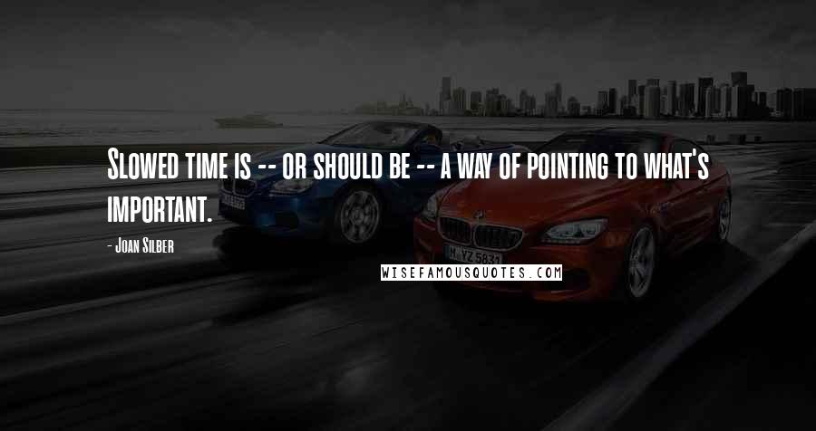Joan Silber Quotes: Slowed time is -- or should be -- a way of pointing to what's important.