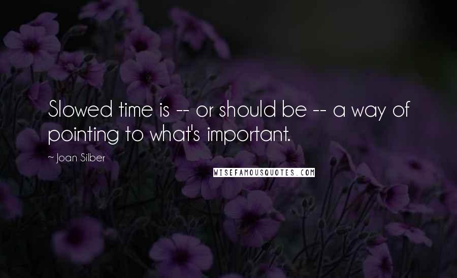 Joan Silber Quotes: Slowed time is -- or should be -- a way of pointing to what's important.