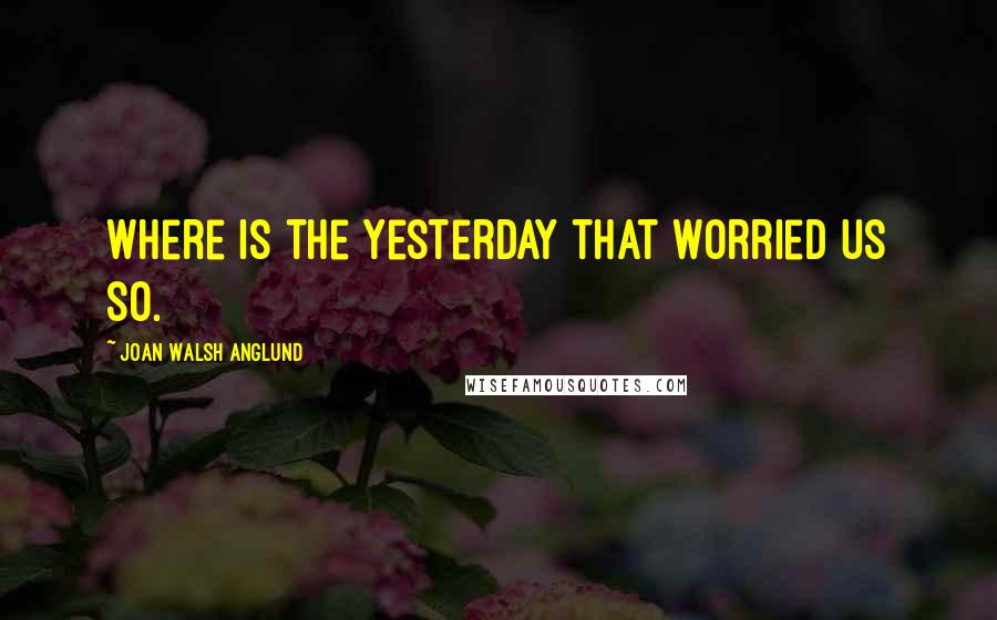 Joan Walsh Anglund Quotes: Where is the yesterday that worried us so.