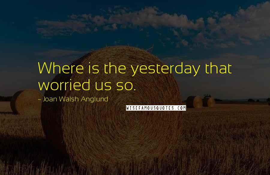 Joan Walsh Anglund Quotes: Where is the yesterday that worried us so.