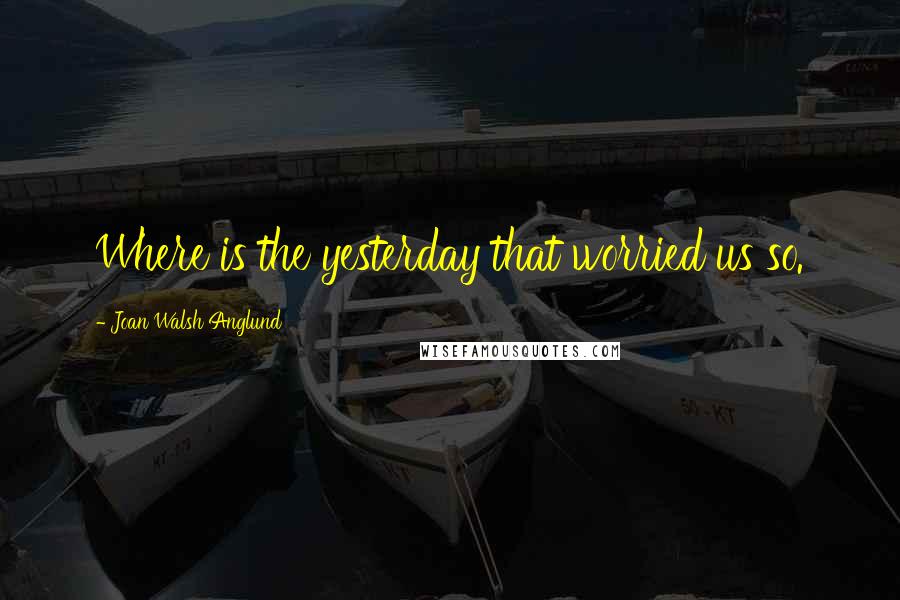 Joan Walsh Anglund Quotes: Where is the yesterday that worried us so.