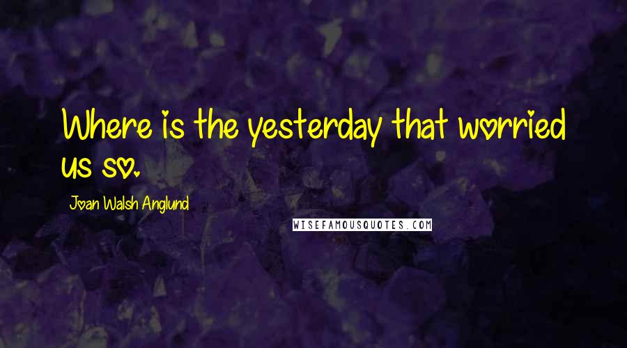 Joan Walsh Anglund Quotes: Where is the yesterday that worried us so.