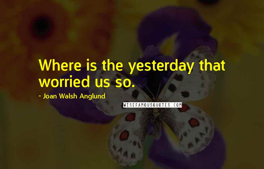 Joan Walsh Anglund Quotes: Where is the yesterday that worried us so.
