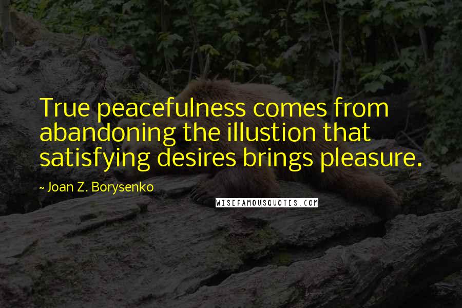 Joan Z. Borysenko Quotes: True peacefulness comes from abandoning the illustion that satisfying desires brings pleasure.