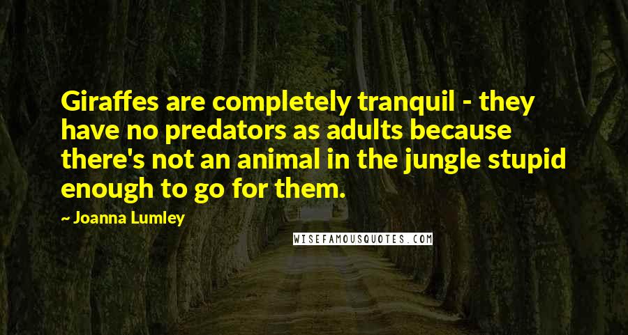 Joanna Lumley Quotes: Giraffes are completely tranquil - they have no predators as adults because there's not an animal in the jungle stupid enough to go for them.