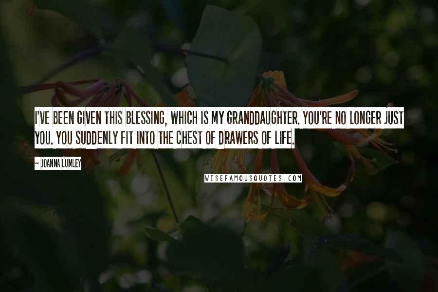 Joanna Lumley Quotes: I've been given this blessing, which is my granddaughter. You're no longer just you. You suddenly fit into the chest of drawers of life.