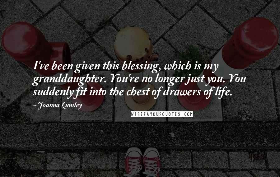 Joanna Lumley Quotes: I've been given this blessing, which is my granddaughter. You're no longer just you. You suddenly fit into the chest of drawers of life.