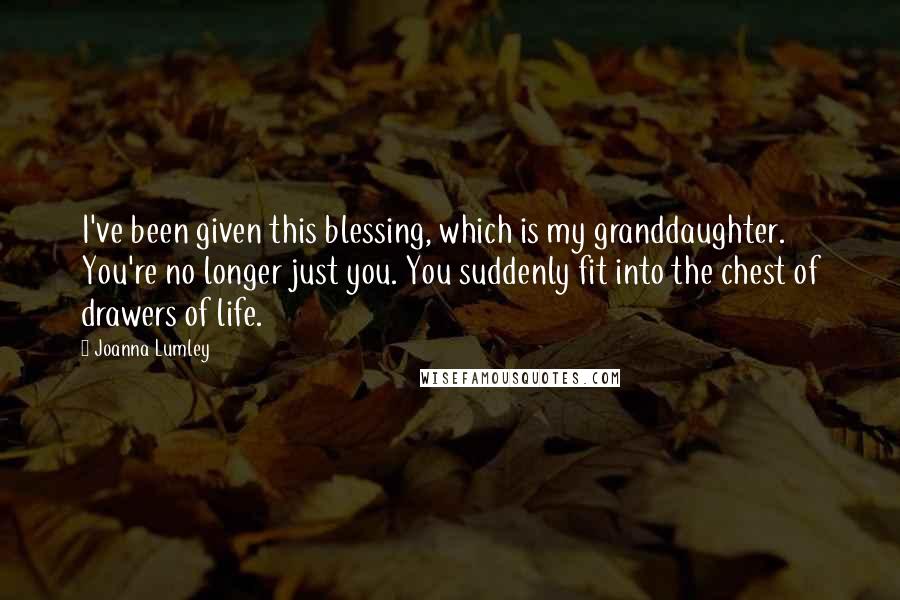Joanna Lumley Quotes: I've been given this blessing, which is my granddaughter. You're no longer just you. You suddenly fit into the chest of drawers of life.
