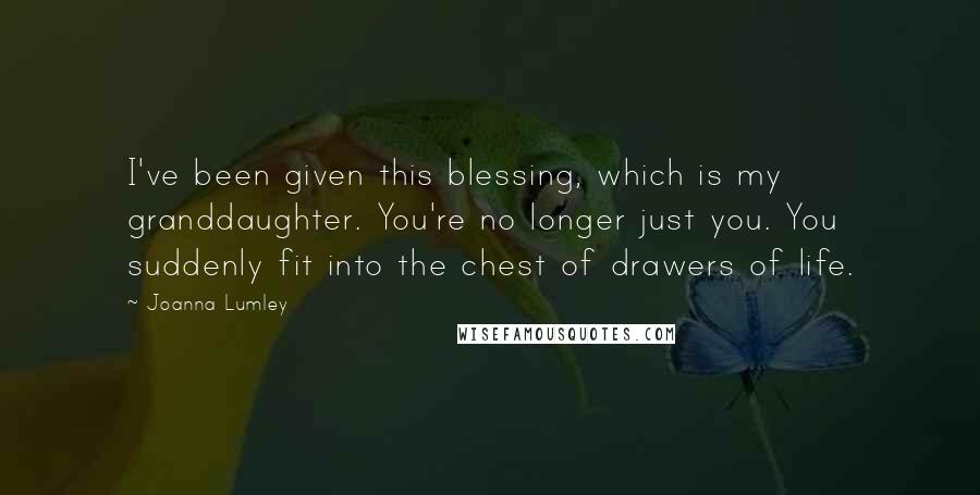Joanna Lumley Quotes: I've been given this blessing, which is my granddaughter. You're no longer just you. You suddenly fit into the chest of drawers of life.