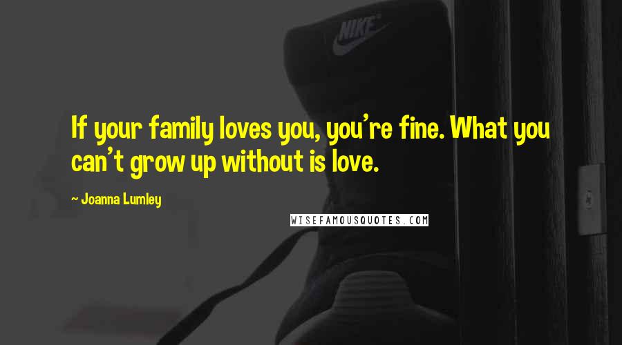 Joanna Lumley Quotes: If your family loves you, you're fine. What you can't grow up without is love.