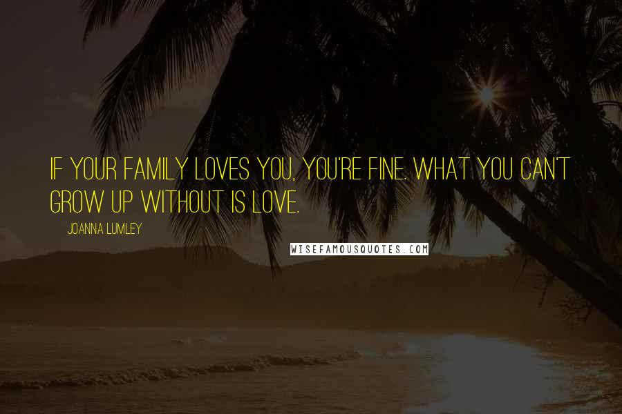 Joanna Lumley Quotes: If your family loves you, you're fine. What you can't grow up without is love.