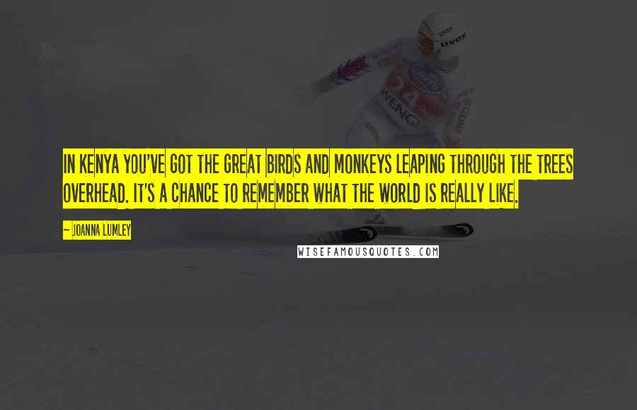 Joanna Lumley Quotes: In Kenya you've got the great birds and monkeys leaping through the trees overhead. It's a chance to remember what the world is really like.
