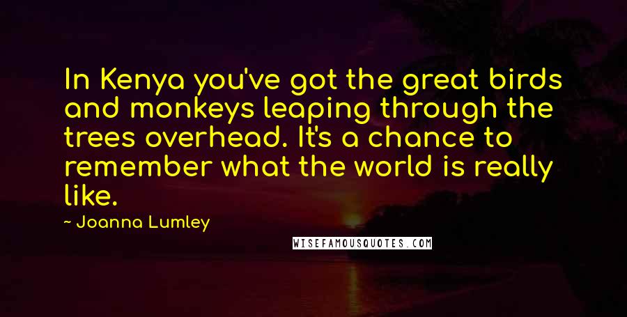 Joanna Lumley Quotes: In Kenya you've got the great birds and monkeys leaping through the trees overhead. It's a chance to remember what the world is really like.