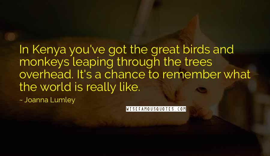 Joanna Lumley Quotes: In Kenya you've got the great birds and monkeys leaping through the trees overhead. It's a chance to remember what the world is really like.