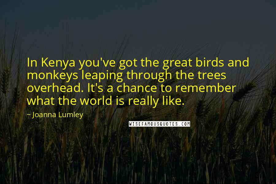 Joanna Lumley Quotes: In Kenya you've got the great birds and monkeys leaping through the trees overhead. It's a chance to remember what the world is really like.