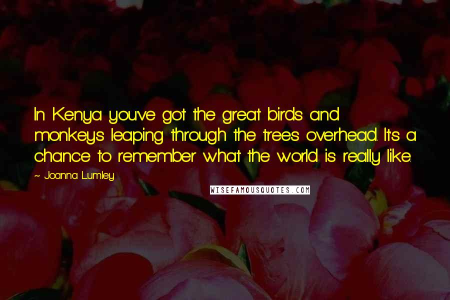 Joanna Lumley Quotes: In Kenya you've got the great birds and monkeys leaping through the trees overhead. It's a chance to remember what the world is really like.