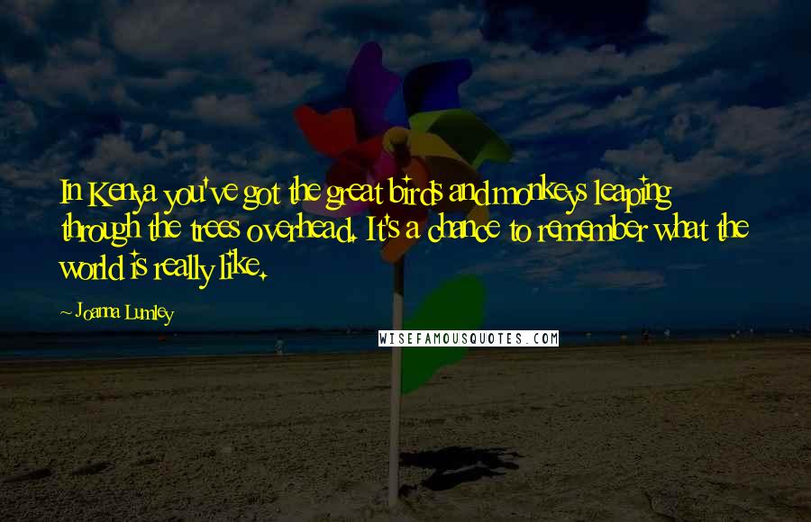 Joanna Lumley Quotes: In Kenya you've got the great birds and monkeys leaping through the trees overhead. It's a chance to remember what the world is really like.