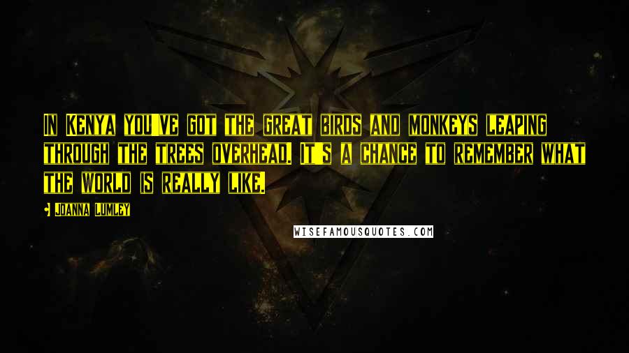 Joanna Lumley Quotes: In Kenya you've got the great birds and monkeys leaping through the trees overhead. It's a chance to remember what the world is really like.