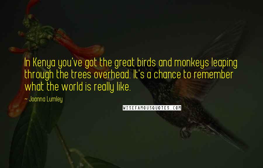 Joanna Lumley Quotes: In Kenya you've got the great birds and monkeys leaping through the trees overhead. It's a chance to remember what the world is really like.