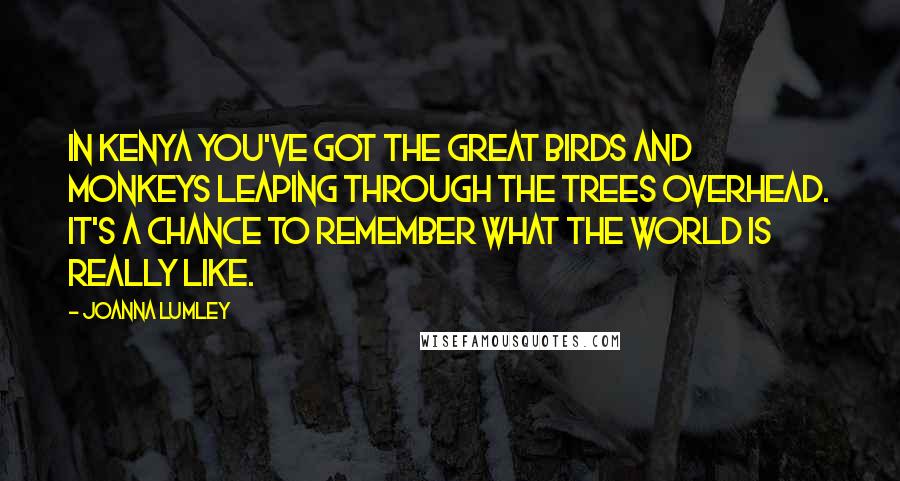 Joanna Lumley Quotes: In Kenya you've got the great birds and monkeys leaping through the trees overhead. It's a chance to remember what the world is really like.