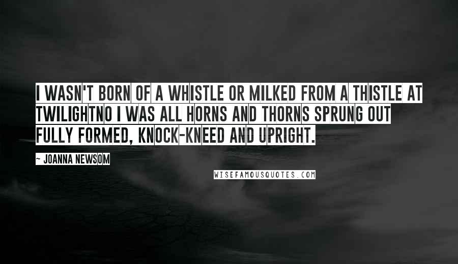 Joanna Newsom Quotes: I wasn't born of a whistle or milked from a thistle at twilightNo I was all horns and thorns sprung out fully formed, knock-kneed and upright.