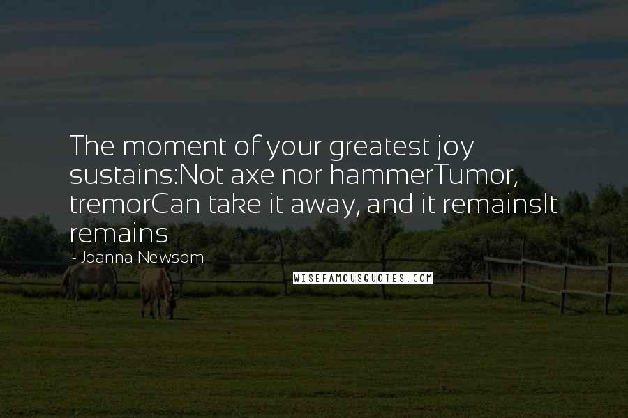 Joanna Newsom Quotes: The moment of your greatest joy sustains:Not axe nor hammerTumor, tremorCan take it away, and it remainsIt remains