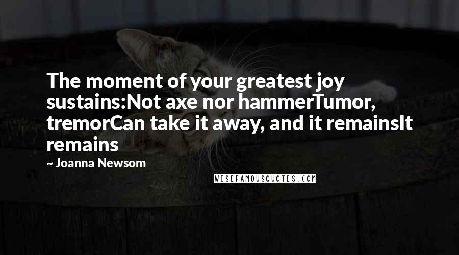Joanna Newsom Quotes: The moment of your greatest joy sustains:Not axe nor hammerTumor, tremorCan take it away, and it remainsIt remains
