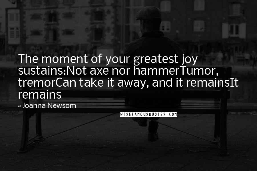 Joanna Newsom Quotes: The moment of your greatest joy sustains:Not axe nor hammerTumor, tremorCan take it away, and it remainsIt remains