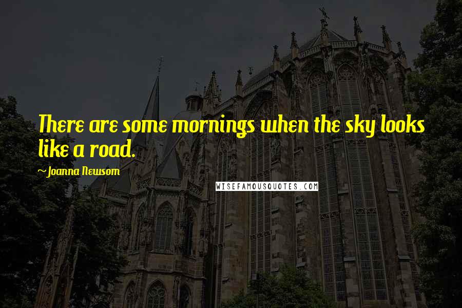 Joanna Newsom Quotes: There are some mornings when the sky looks like a road.
