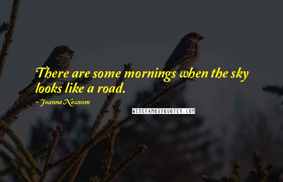 Joanna Newsom Quotes: There are some mornings when the sky looks like a road.