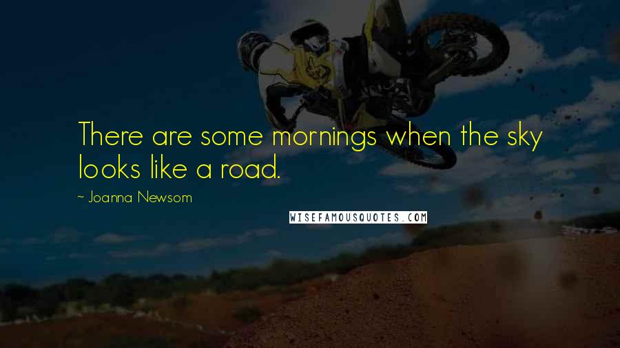 Joanna Newsom Quotes: There are some mornings when the sky looks like a road.