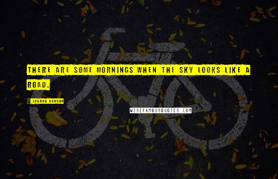Joanna Newsom Quotes: There are some mornings when the sky looks like a road.