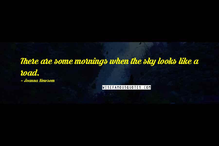 Joanna Newsom Quotes: There are some mornings when the sky looks like a road.