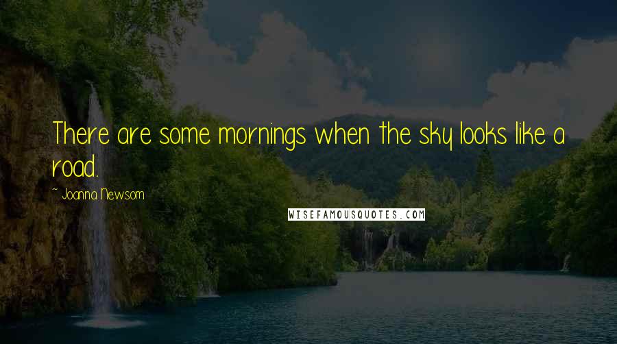 Joanna Newsom Quotes: There are some mornings when the sky looks like a road.