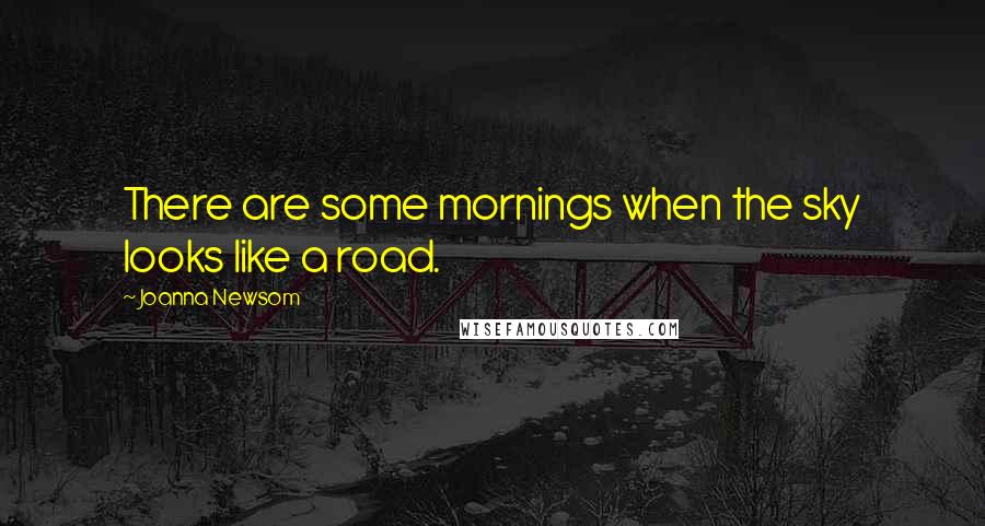 Joanna Newsom Quotes: There are some mornings when the sky looks like a road.