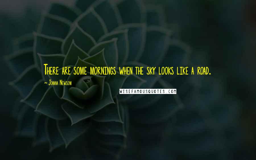 Joanna Newsom Quotes: There are some mornings when the sky looks like a road.